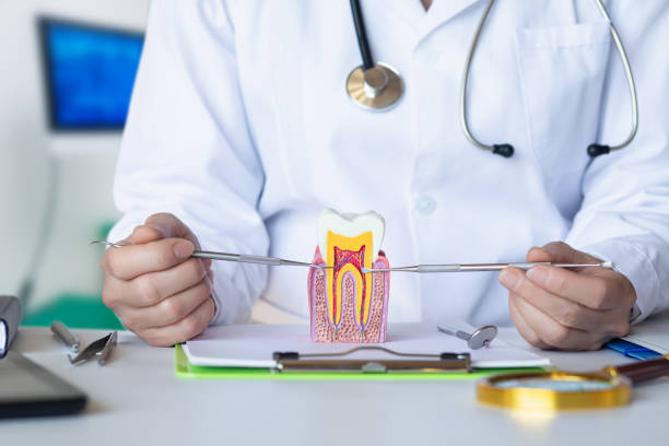 Best Emergency Treatment for Dental Infections or Abscesses in Mmaduke, AR